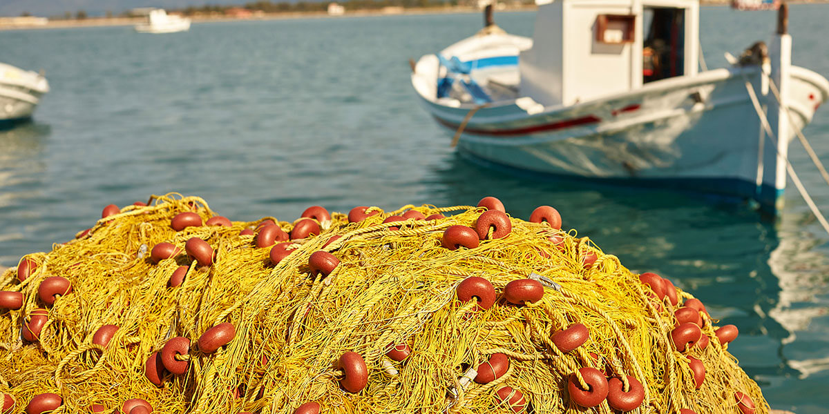 balık ağı fiyatları