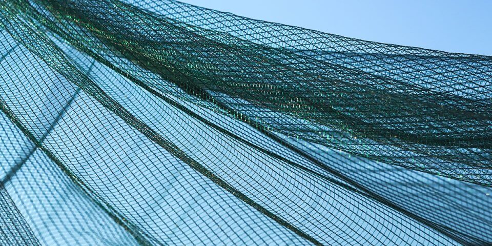 protection net