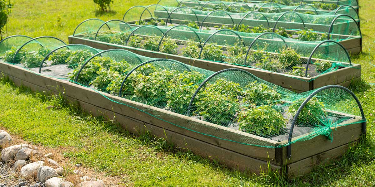 garden netting