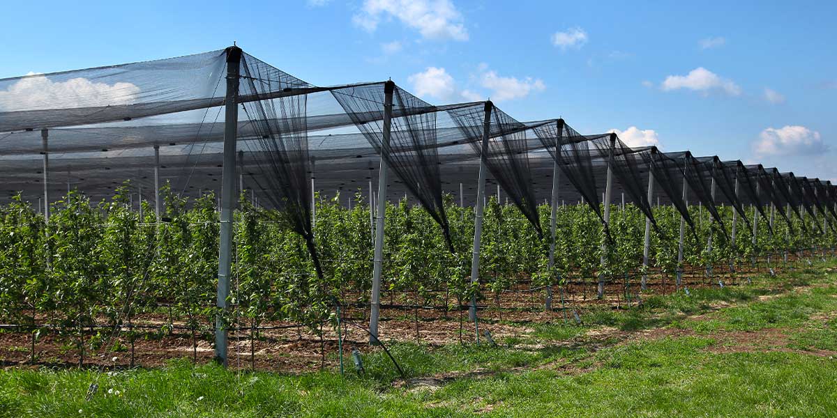 netting for garden