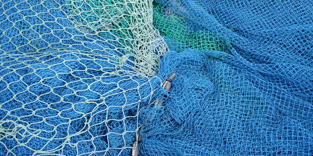 fish netting