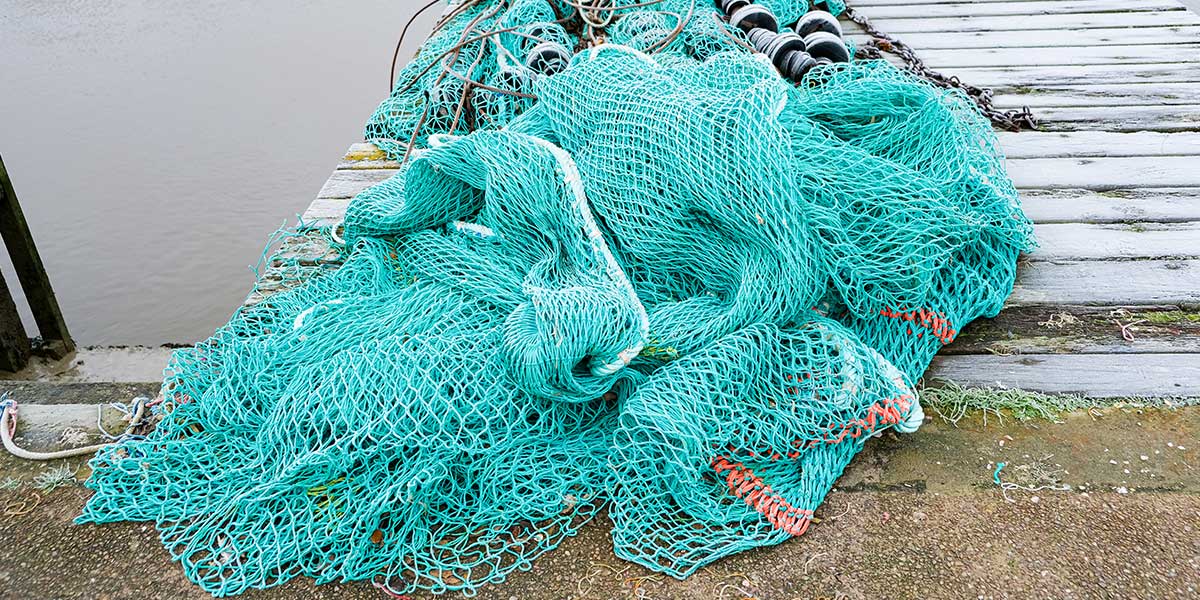 Features of High Quality Fish Netting - Netrags