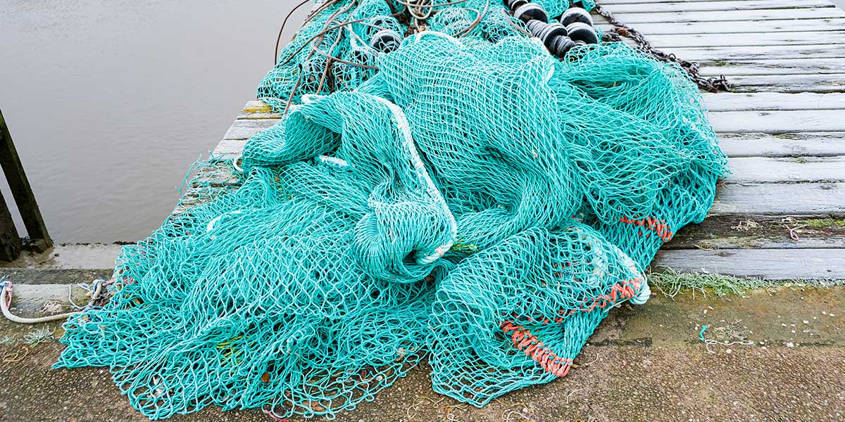 fishing net