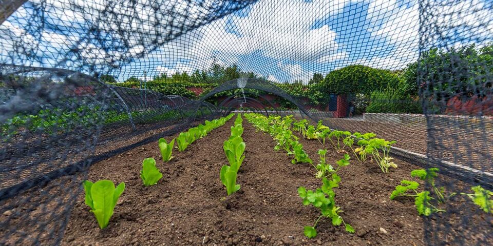 garden mesh netting