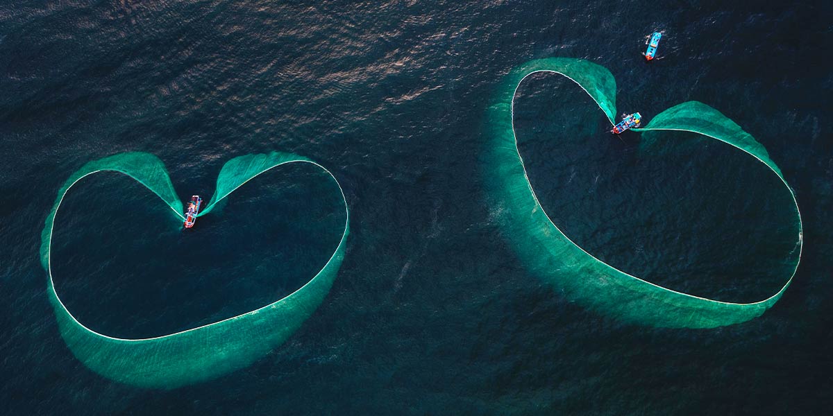 fish netting